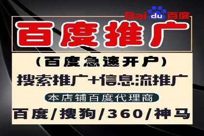 某知名企业SEM代理的胜利之路
